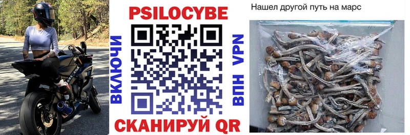 Галлюциногенные грибы Cubensis  Купить закладки  Светлогорск 